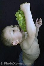 Five senses - taste Five senses - taste