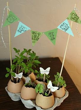 Homemade Teacher Gifts - Egg Shell Planters