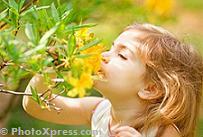 Five senses - smell Five senses - smell